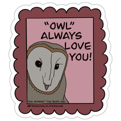 Owl 1